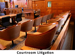 We excel in Courtroom Litigation
