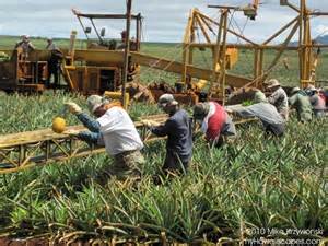 Harvesting Gang