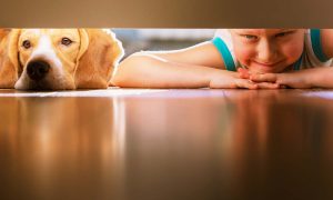 Contact Us – Howard Butler, Esq.