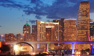 Criminal Law - Divorce - Bankruptcy